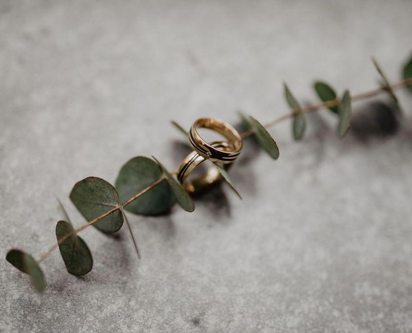 Trauringe Gold Schwarz Eukalyptus Trauringe Gold Schwarz Eukalyptus